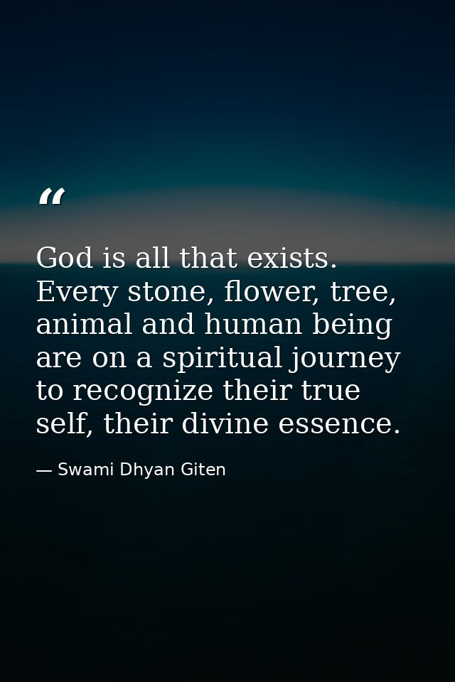 God is all that exists. Every stone, flower, tree, animal and human being are on a spiritual journey to recognize their  — Swami Dhyan Giten