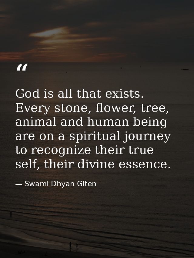 God is all that exists. Every stone, flower, tree, animal and human being are on a spiritual journey to recognize their  — Swami Dhyan Giten