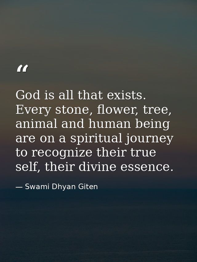 God is all that exists. Every stone, flower, tree, animal and human being are on a spiritual journey to recognize their  — Swami Dhyan Giten