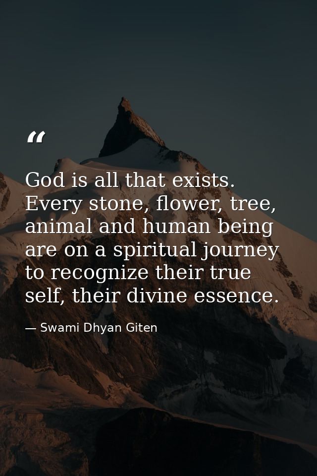 God is all that exists. Every stone, flower, tree, animal and human being are on a spiritual journey to recognize their  — Swami Dhyan Giten