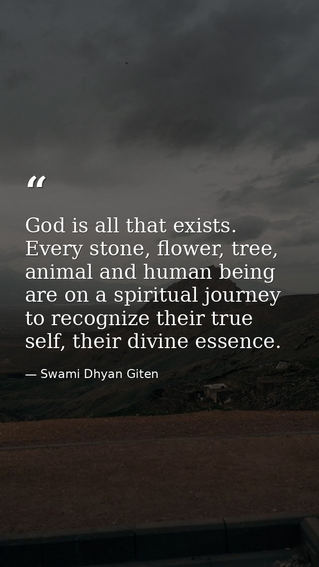 God is all that exists. Every stone, flower, tree, animal and human being are on a spiritual journey to recognize their  — Swami Dhyan Giten