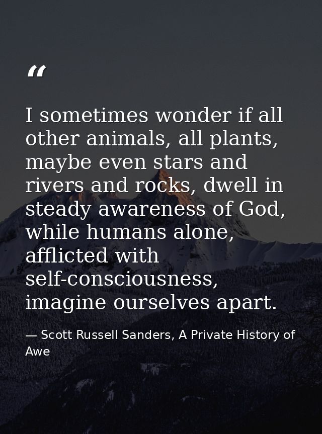 I sometimes wonder if all other animals, all plants, maybe even stars and rivers and rocks, dwell in steady awareness of — Scott Russell Sanders, A Private History of Awe