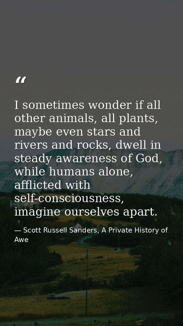 I sometimes wonder if all other animals, all plants, maybe even stars and rivers and rocks, dwell in steady awareness of — Scott Russell Sanders, A Private History of Awe