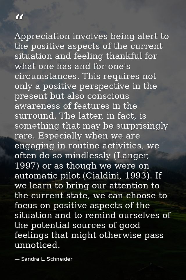 Appreciation involves being alert to the positive aspects of the current situation and feeling thankful for what one has — Sandra L. Schneider