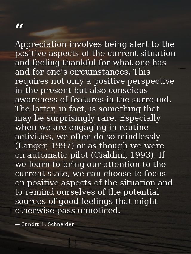 Appreciation involves being alert to the positive aspects of the current situation and feeling thankful for what one has — Sandra L. Schneider