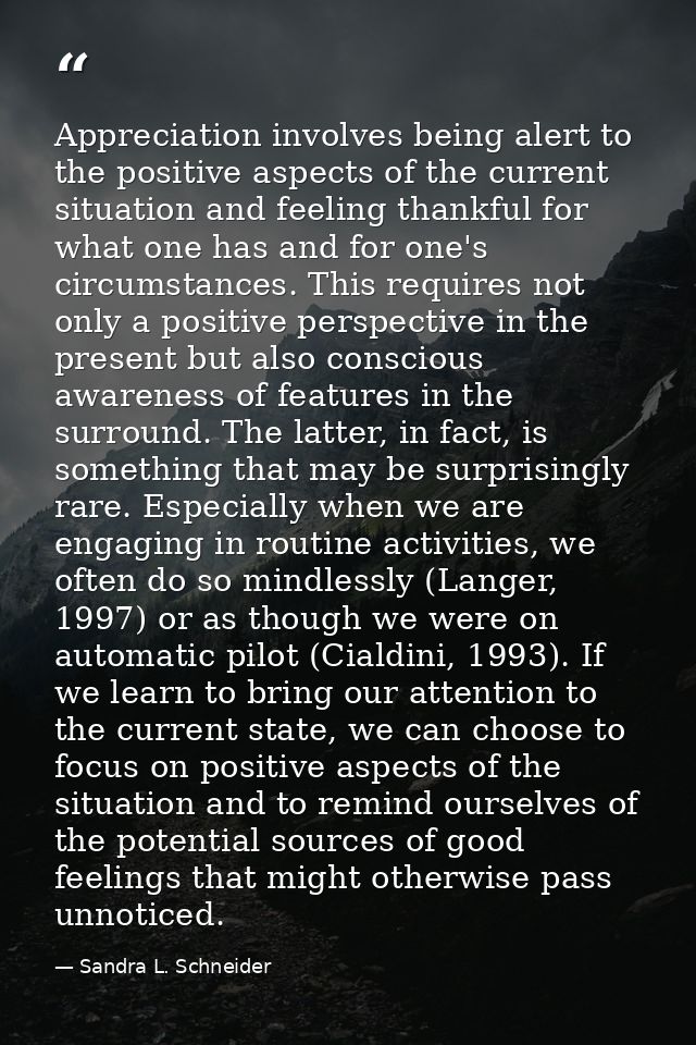 Appreciation involves being alert to the positive aspects of the current situation and feeling thankful for what one has — Sandra L. Schneider