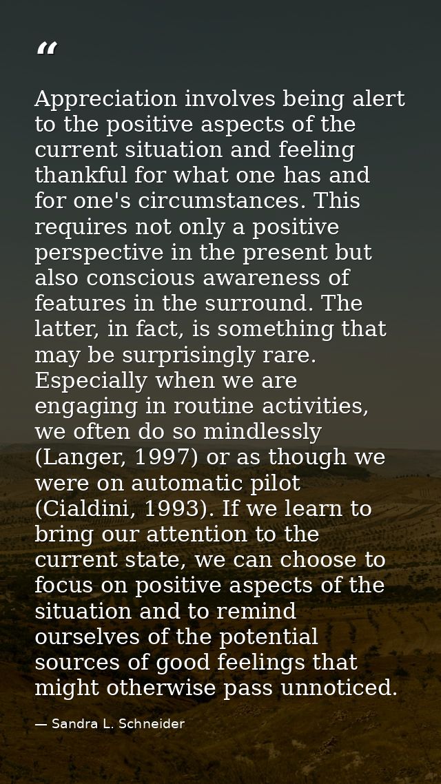 Appreciation involves being alert to the positive aspects of the current situation and feeling thankful for what one has — Sandra L. Schneider