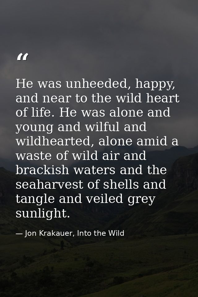 He was unheeded, happy, and near to the wild heart of life. He was alone and young and wilful and wildhearted, alone ami — Jon Krakauer, Into the Wild