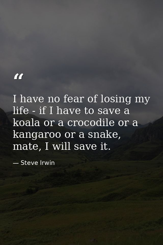 I have no fear of losing my life - if I have to save a koala or a crocodile or a kangaroo or a snake, mate, I will save  — Steve Irwin