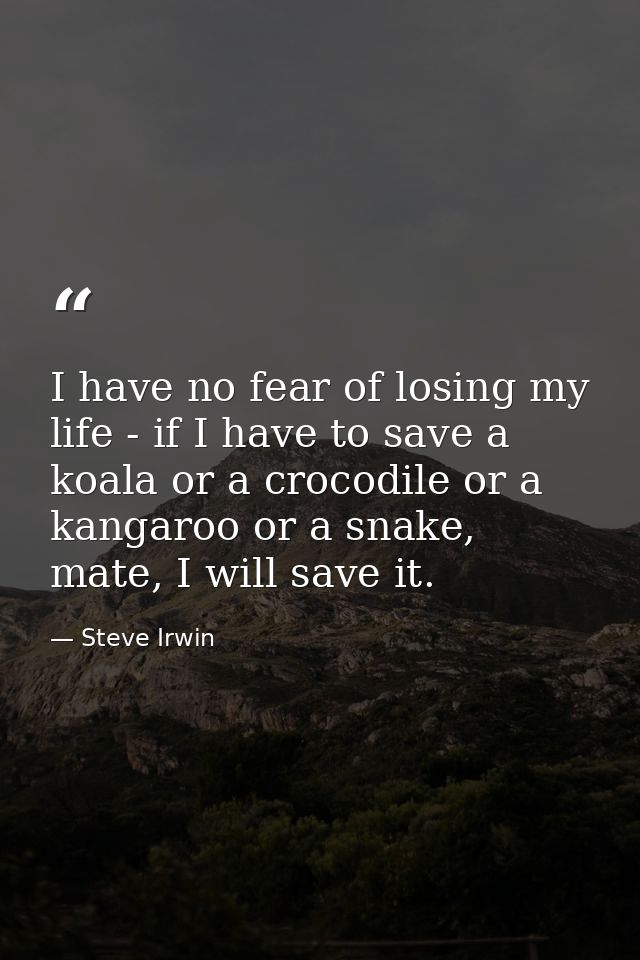 I have no fear of losing my life - if I have to save a koala or a crocodile or a kangaroo or a snake, mate, I will save  — Steve Irwin