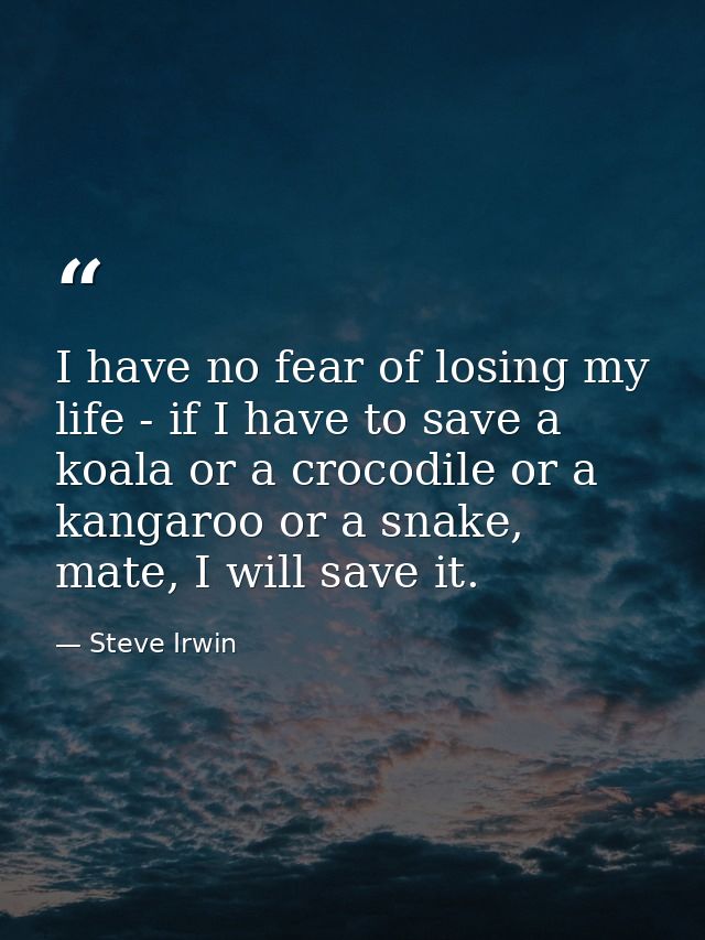 I have no fear of losing my life - if I have to save a koala or a crocodile or a kangaroo or a snake, mate, I will save  — Steve Irwin