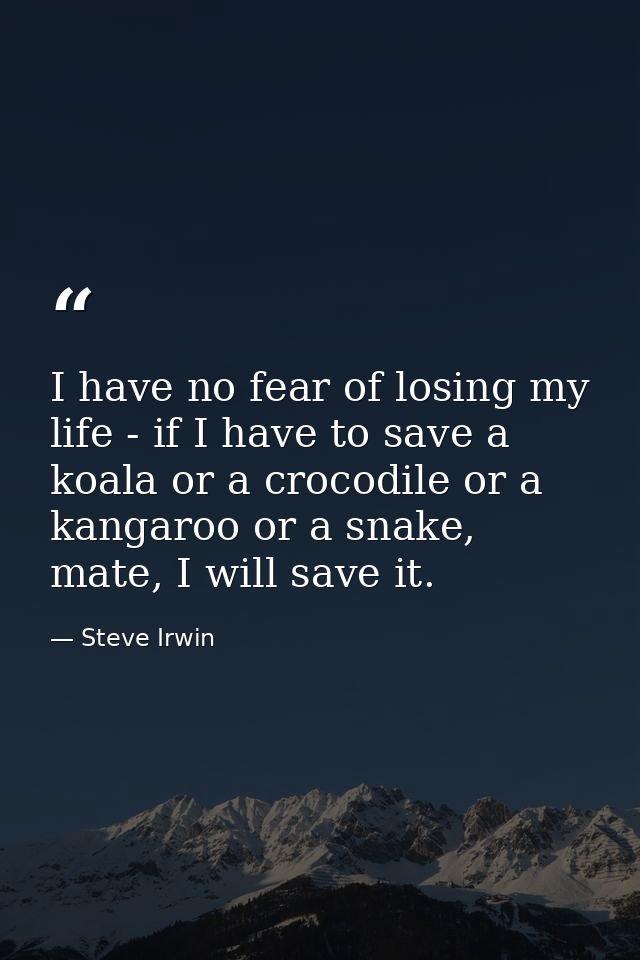 I have no fear of losing my life - if I have to save a koala or a crocodile or a kangaroo or a snake, mate, I will save  — Steve Irwin