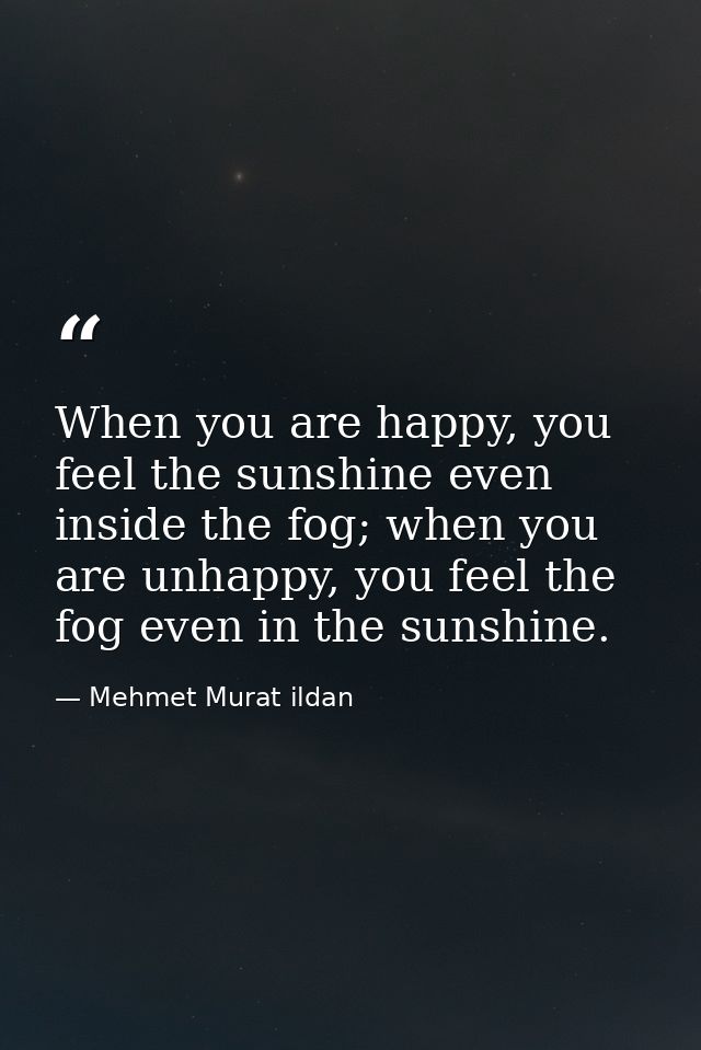 When you are happy, you feel the sunshine even inside the fog; when you are unhappy, you feel the fog even in the sunshi — Mehmet Murat ildan