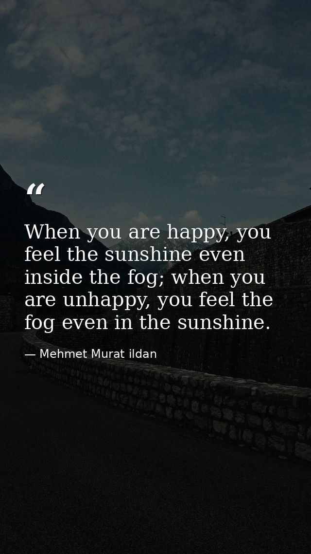 When you are happy, you feel the sunshine even inside the fog; when you are unhappy, you feel the fog even in the sunshi — Mehmet Murat ildan