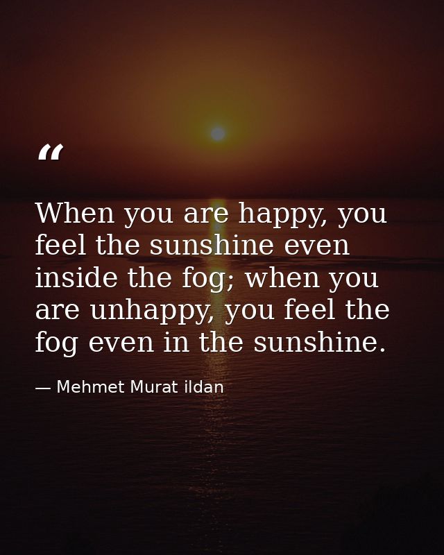 When you are happy, you feel the sunshine even inside the fog; when you are unhappy, you feel the fog even in the sunshi — Mehmet Murat ildan