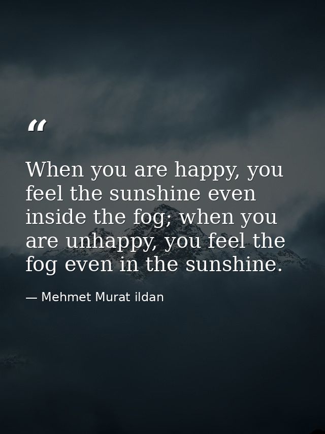 When you are happy, you feel the sunshine even inside the fog; when you are unhappy, you feel the fog even in the sunshi — Mehmet Murat ildan