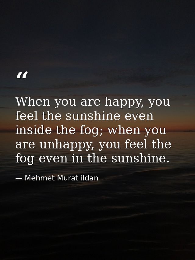 When you are happy, you feel the sunshine even inside the fog; when you are unhappy, you feel the fog even in the sunshi — Mehmet Murat ildan