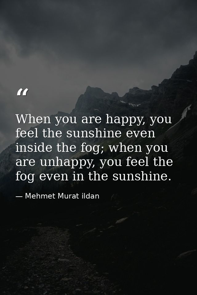 When you are happy, you feel the sunshine even inside the fog; when you are unhappy, you feel the fog even in the sunshi — Mehmet Murat ildan