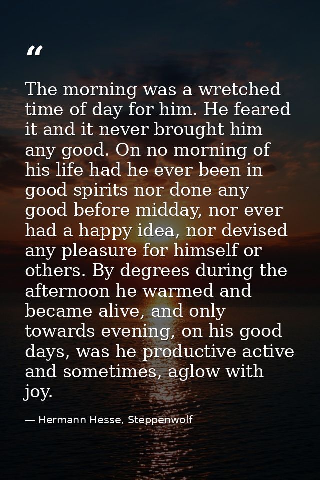 The morning was a wretched time of day for him. He feared it and it never brought him any good. On no morning of his lif — Hermann Hesse, Steppenwolf