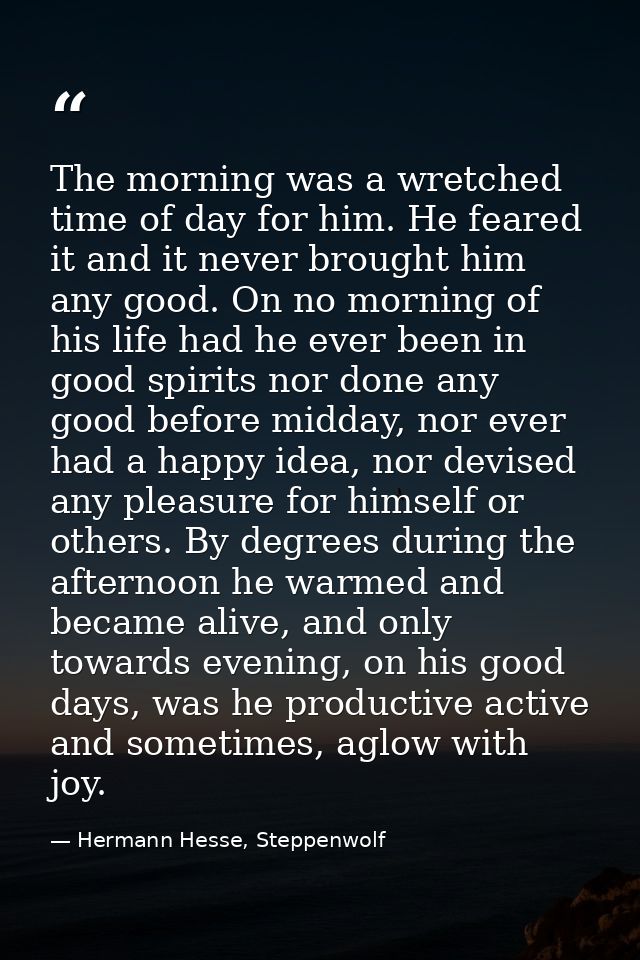 The morning was a wretched time of day for him. He feared it and it never brought him any good. On no morning of his lif — Hermann Hesse, Steppenwolf
