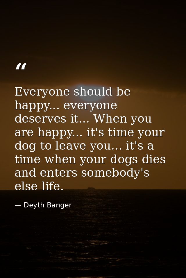 Everyone should be happy... everyone deserves it... When you are happy... it's time your dog to leave you... it's a time — Deyth Banger
