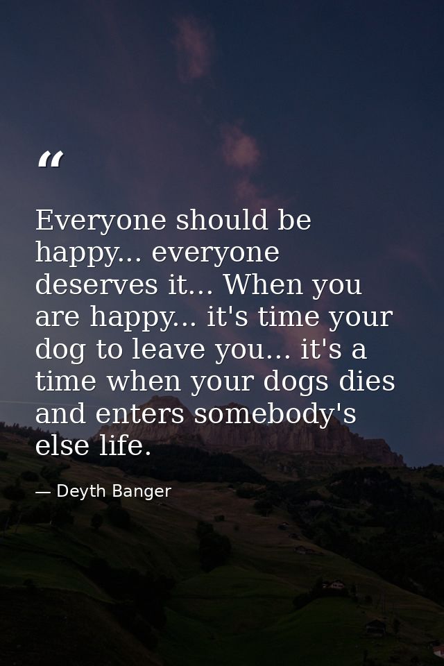 Everyone should be happy... everyone deserves it... When you are happy... it's time your dog to leave you... it's a time — Deyth Banger