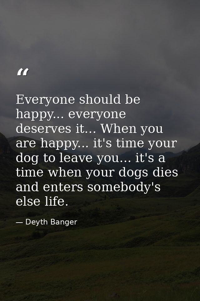 Everyone should be happy... everyone deserves it... When you are happy... it's time your dog to leave you... it's a time — Deyth Banger