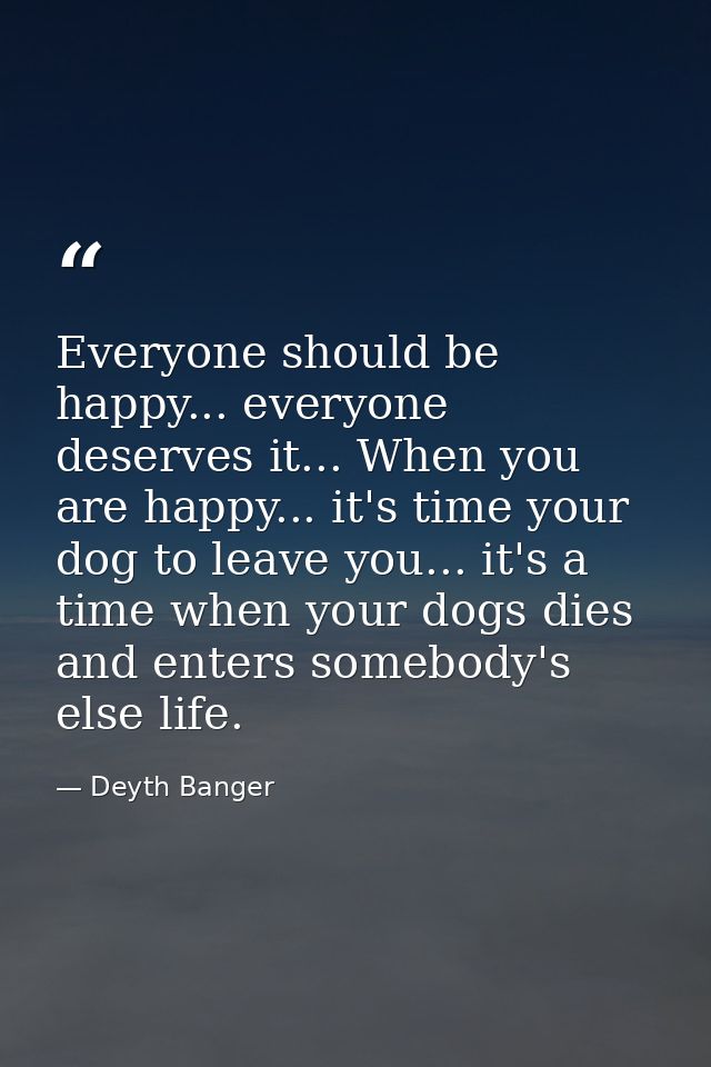 Everyone should be happy... everyone deserves it... When you are happy... it's time your dog to leave you... it's a time — Deyth Banger