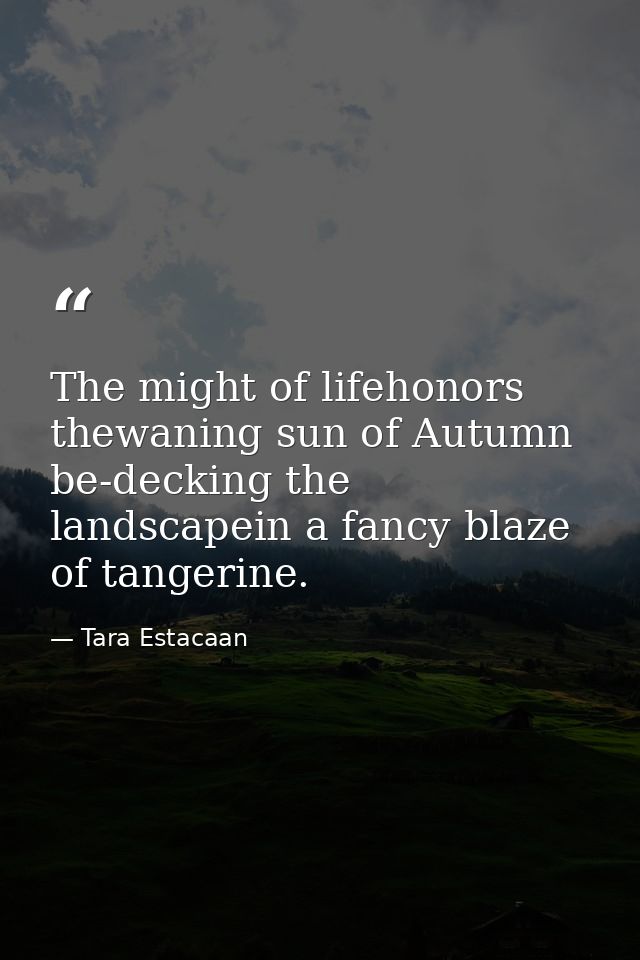 The might of lifehonors thewaning sun of Autumn be-decking the landscapein a fancy blaze of tangerine. — Tara Estacaan