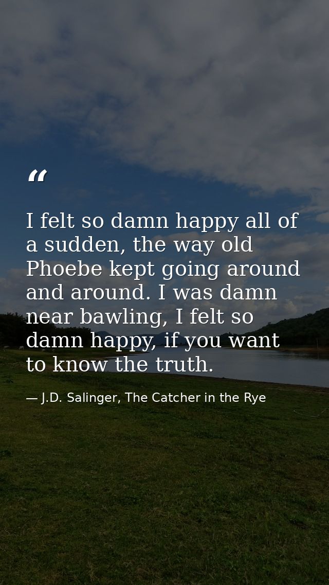I felt so damn happy all of a sudden, the way old Phoebe kept going around and around. I was damn near bawling, I felt s — J.D. Salinger, The Catcher in the Rye