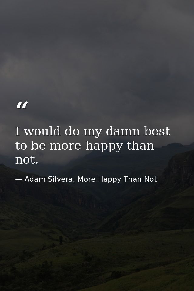 I would do my damn best to be more happy than not. — Adam Silvera, More Happy Than Not