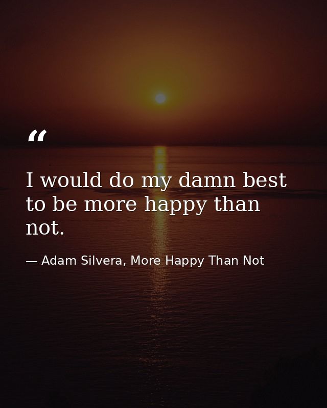 I would do my damn best to be more happy than not. — Adam Silvera, More Happy Than Not