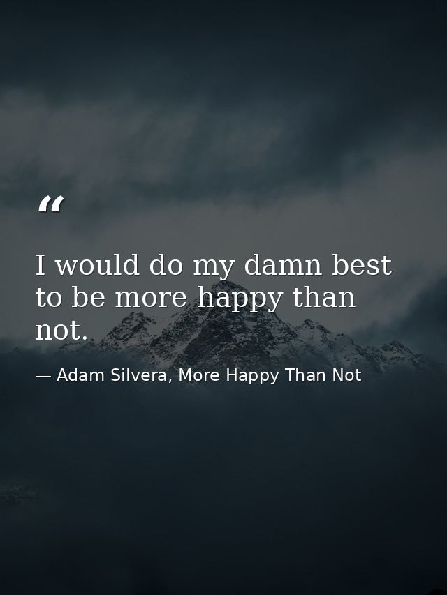 I would do my damn best to be more happy than not. — Adam Silvera, More Happy Than Not