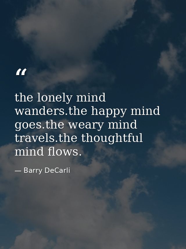 the lonely mind wanders.the happy mind goes.the weary mind travels.the thoughtful mind flows. — Barry DeCarli