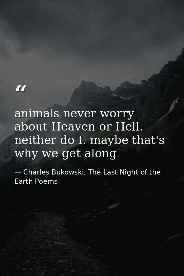 animals never worry about Heaven or Hell. neither do I. maybe that's why we get along — Charles Bukowski, The Last Night of the Earth Poems