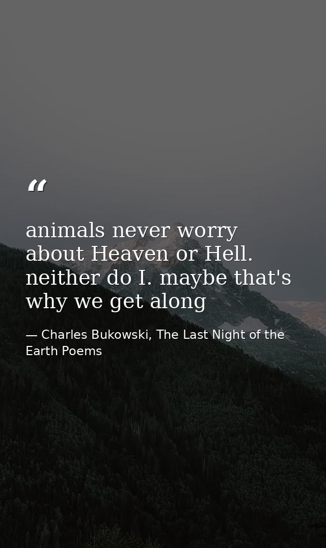 animals never worry about Heaven or Hell. neither do I. maybe that's why we get along — Charles Bukowski, The Last Night of the Earth Poems