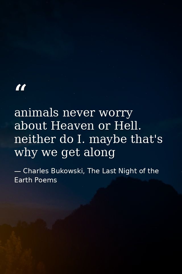 animals never worry about Heaven or Hell. neither do I. maybe that's why we get along — Charles Bukowski, The Last Night of the Earth Poems