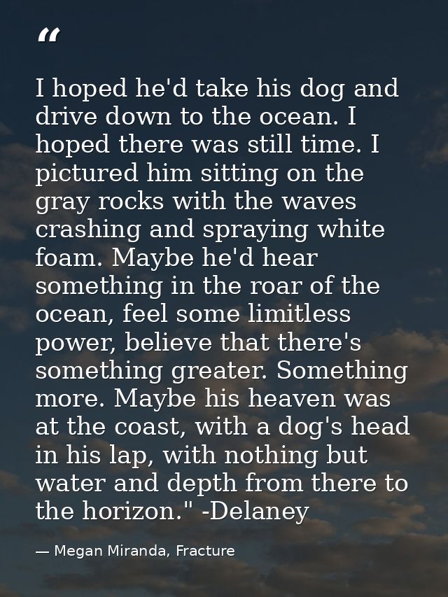 I hoped he'd take his dog and drive down to the ocean. I hoped there was still time. I pictured him sitting on the gray  — Megan Miranda, Fracture