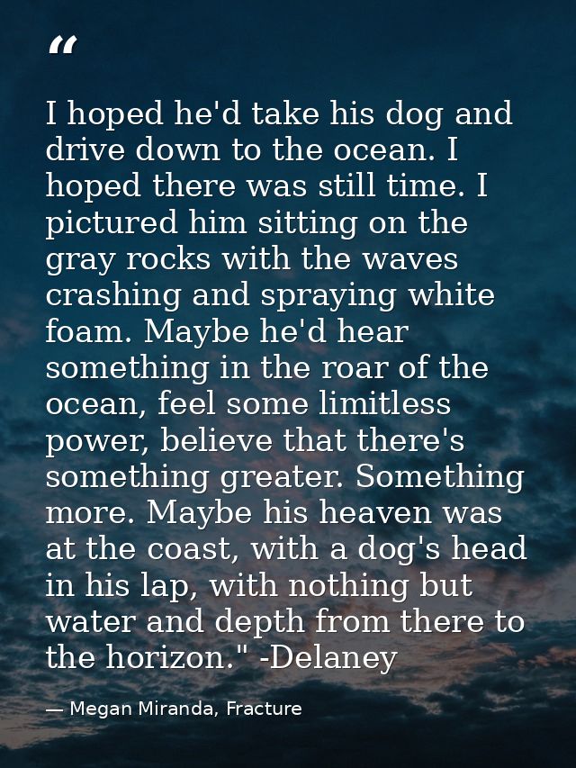 I hoped he'd take his dog and drive down to the ocean. I hoped there was still time. I pictured him sitting on the gray  — Megan Miranda, Fracture