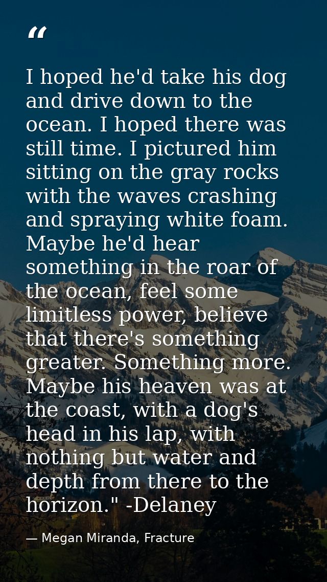 I hoped he'd take his dog and drive down to the ocean. I hoped there was still time. I pictured him sitting on the gray  — Megan Miranda, Fracture