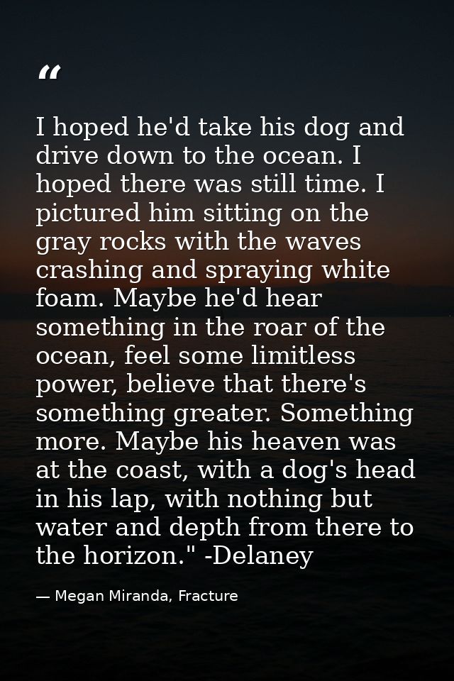 I hoped he'd take his dog and drive down to the ocean. I hoped there was still time. I pictured him sitting on the gray  — Megan Miranda, Fracture