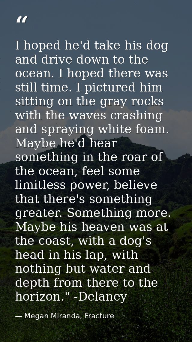 I hoped he'd take his dog and drive down to the ocean. I hoped there was still time. I pictured him sitting on the gray  — Megan Miranda, Fracture