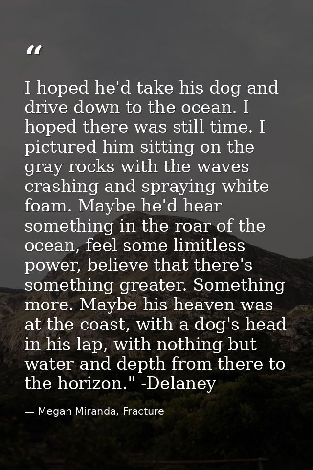 I hoped he'd take his dog and drive down to the ocean. I hoped there was still time. I pictured him sitting on the gray  — Megan Miranda, Fracture
