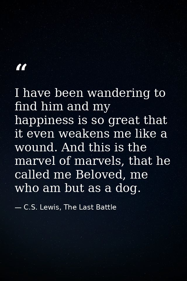 I have been wandering to find him and my happiness is so great that it even weakens me like a wound. And this is the mar — C.S. Lewis, The Last Battle