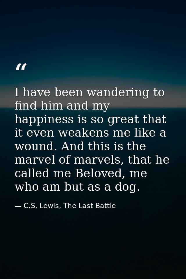 I have been wandering to find him and my happiness is so great that it even weakens me like a wound. And this is the mar — C.S. Lewis, The Last Battle