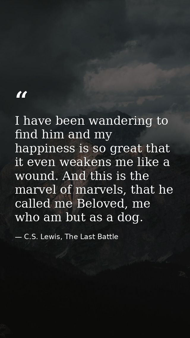 I have been wandering to find him and my happiness is so great that it even weakens me like a wound. And this is the mar — C.S. Lewis, The Last Battle