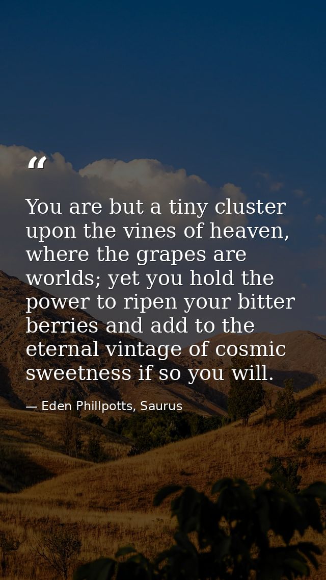 You are but a tiny cluster upon the vines of heaven, where the grapes are worlds; yet you hold the power to ripen your b — Eden Phillpotts, Saurus