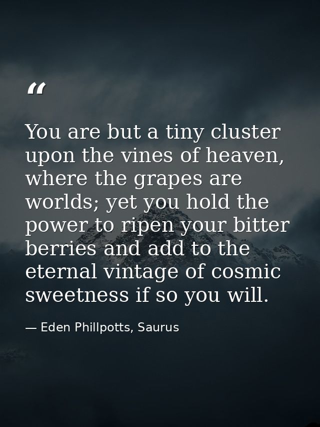 You are but a tiny cluster upon the vines of heaven, where the grapes are worlds; yet you hold the power to ripen your b — Eden Phillpotts, Saurus