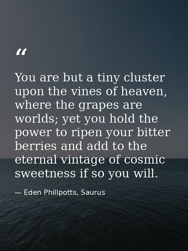 You are but a tiny cluster upon the vines of heaven, where the grapes are worlds; yet you hold the power to ripen your b — Eden Phillpotts, Saurus