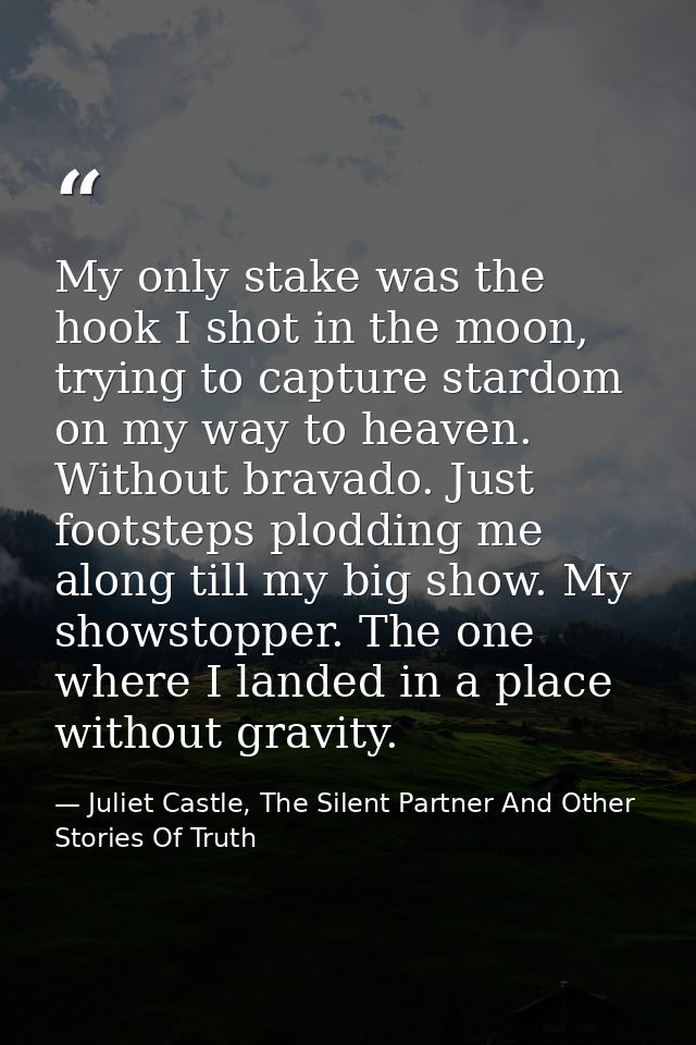 My only stake was the hook I shot in the moon, trying to capture stardom on my way to heaven. Without bravado. Just foot — Juliet Castle, The Silent Partner And Other Stories Of Truth